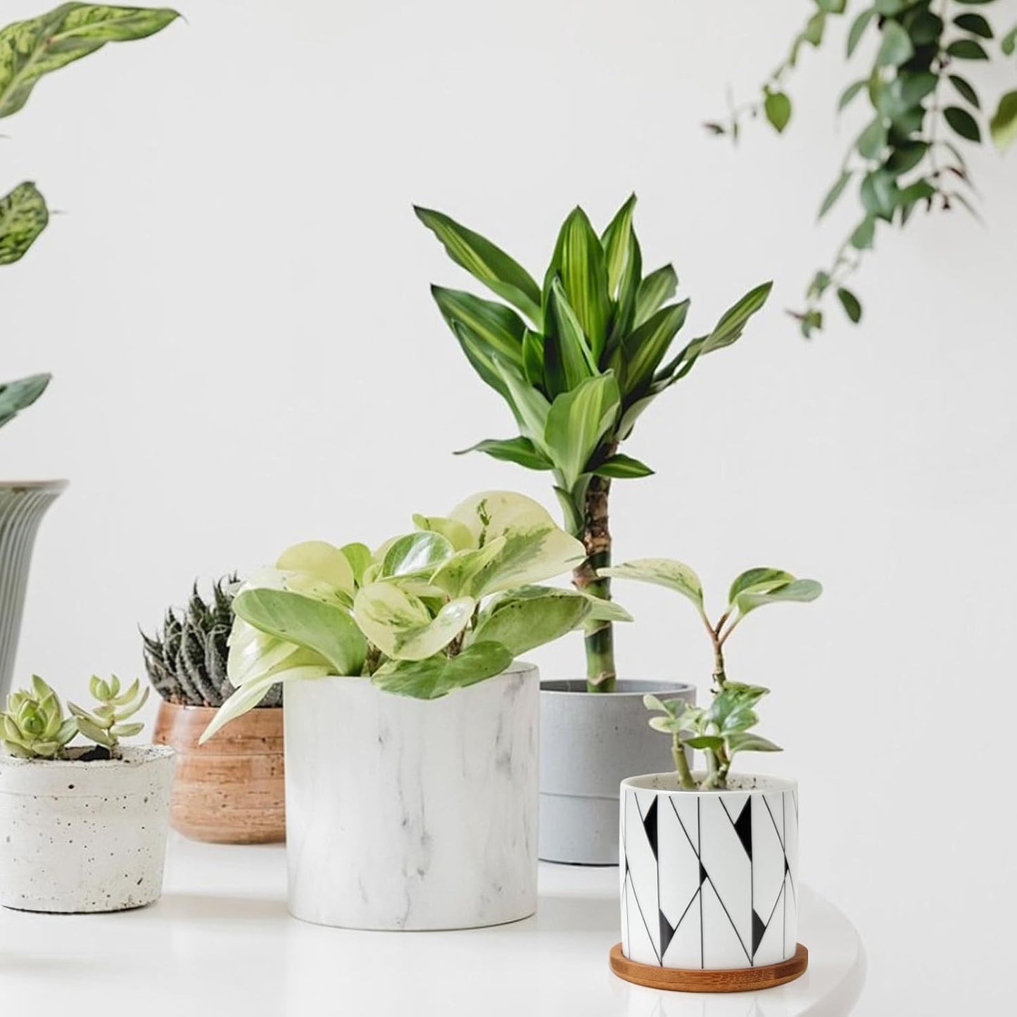 The Sprout Set – 6 Mini Geometric Pots with Drainage & Bamboo Trays, Made for Your Smallest Plant Friends (Plants Not Included)