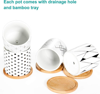 The Sprout Set – 6 Mini Geometric Pots with Drainage & Bamboo Trays, Made for Your Smallest Plant Friends (Plants Not Included)