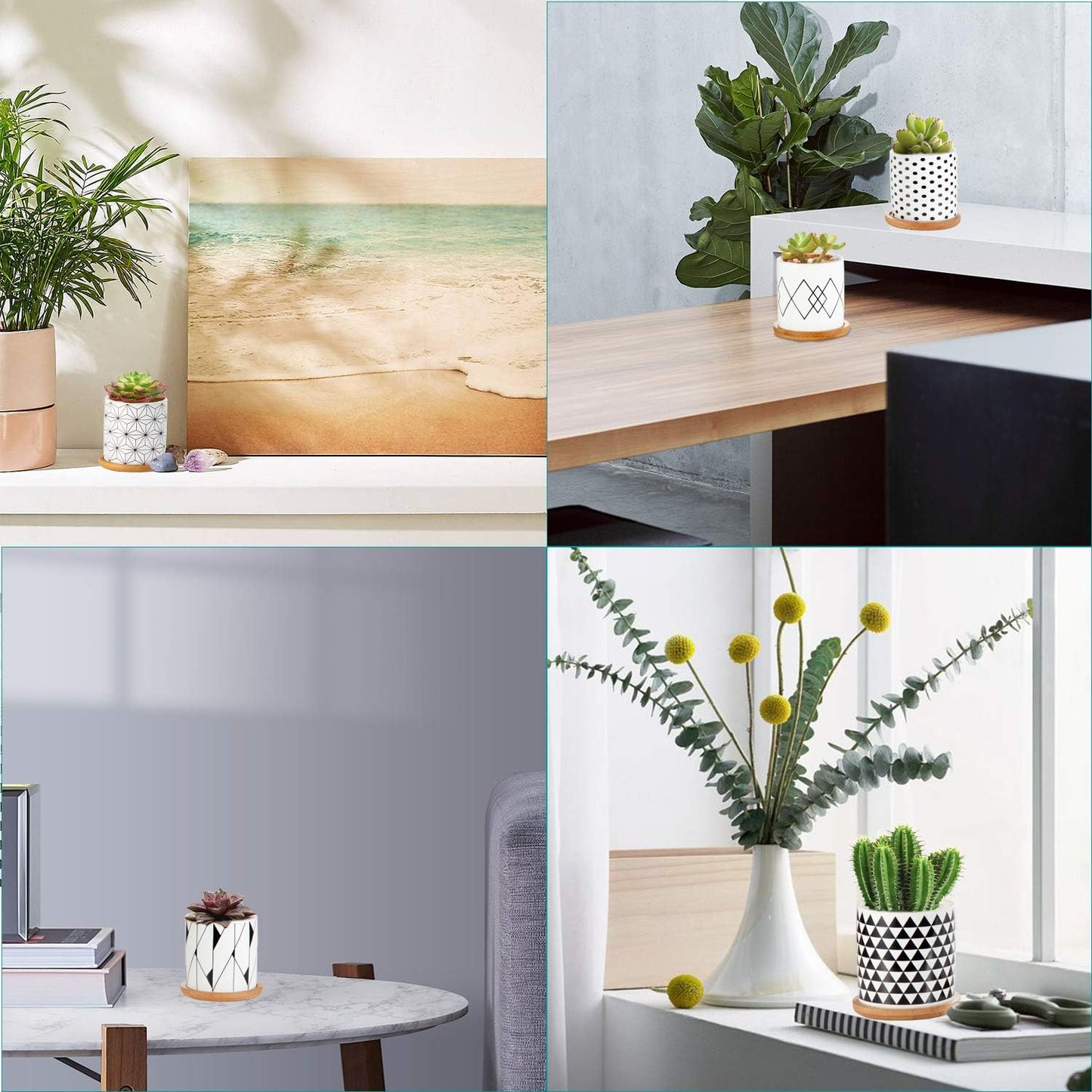 The Sprout Set – 6 Mini Geometric Pots with Drainage & Bamboo Trays, Made for Your Smallest Plant Friends (Plants Not Included)