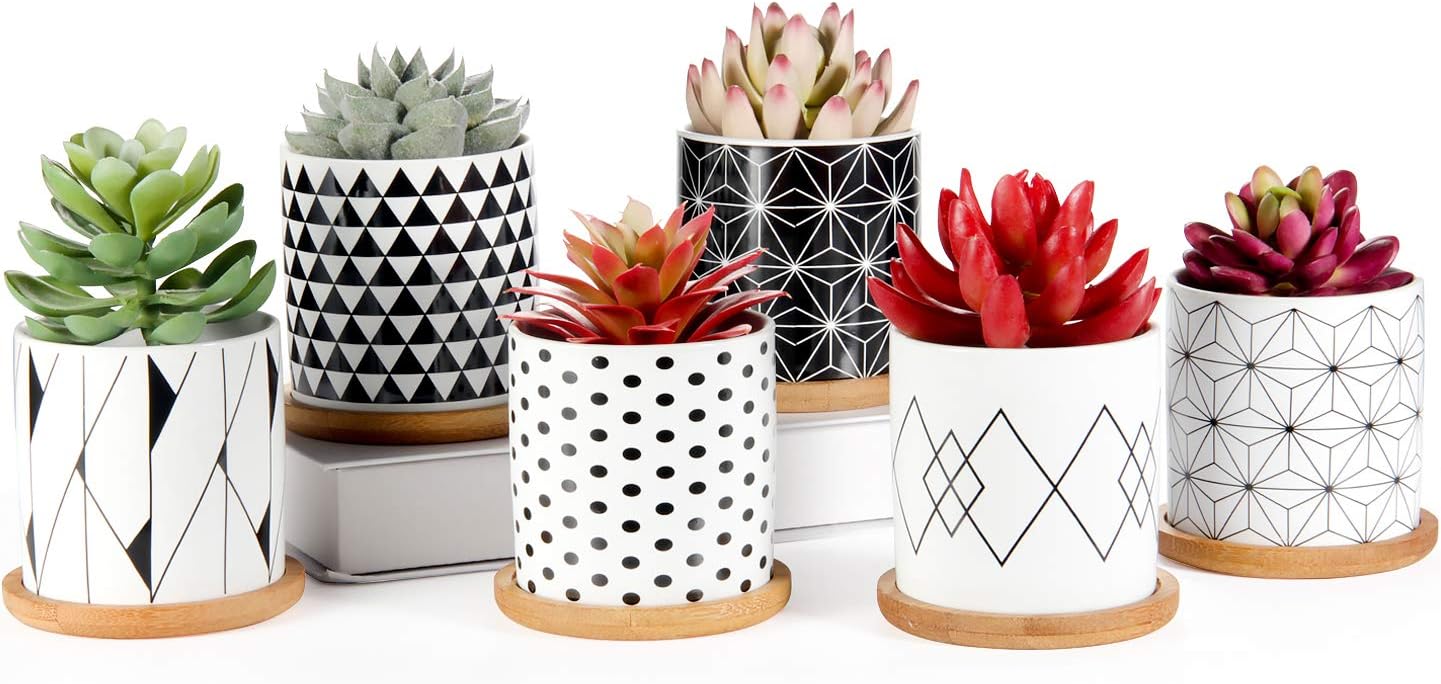 The Sprout Set – 6 Mini Geometric Pots with Drainage & Bamboo Trays, Made for Your Smallest Plant Friends (Plants Not Included)