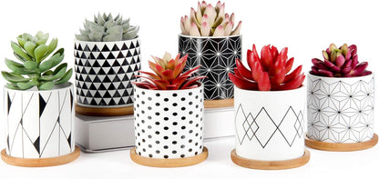 The Sprout Set – 6 Mini Geometric Pots with Drainage & Bamboo Trays, Made for Your Smallest Plant Friends (Plants Not Included)
